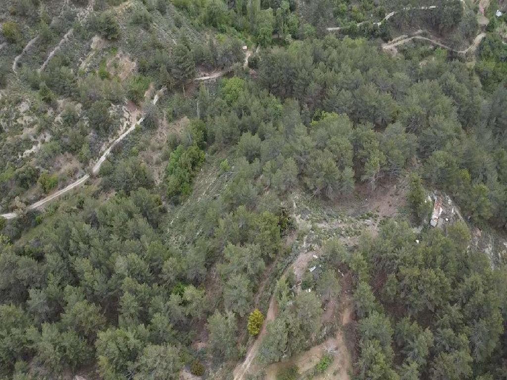 Lemithou, Limassol Agricultural Field For Sale | WW29335