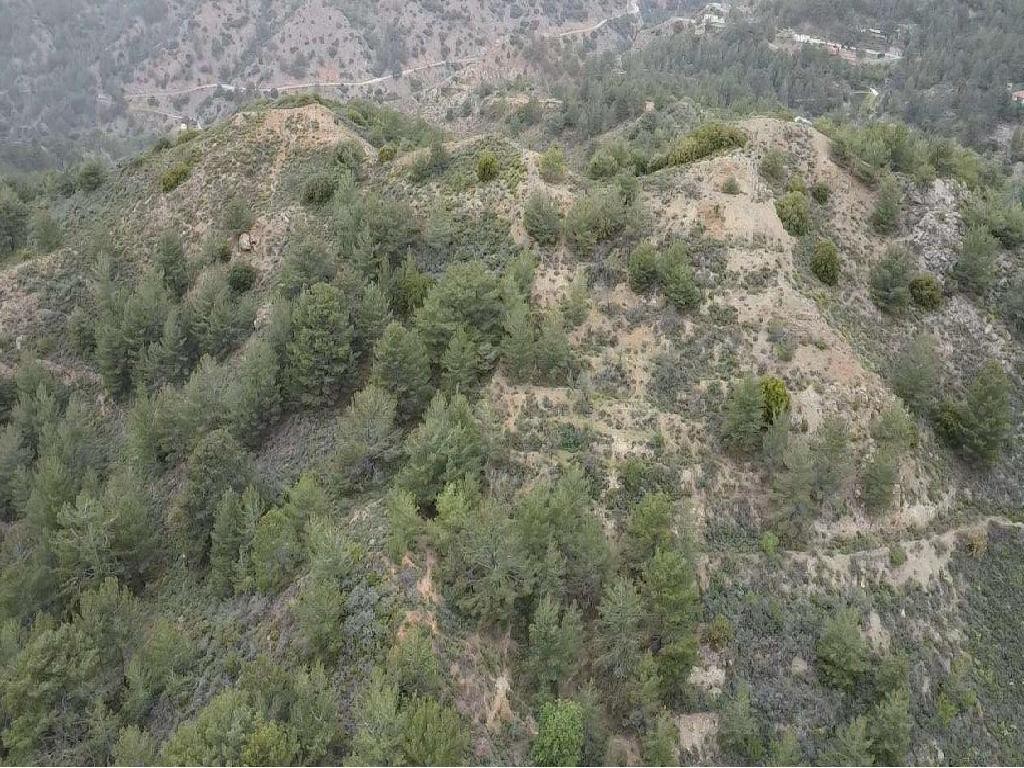 Field - Lemithou, Limassol