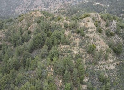 Lemithou, Limassol Agricultural Field For Sale | WW29335