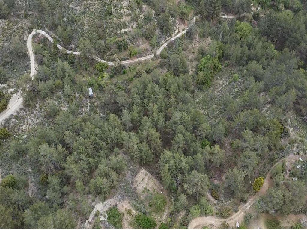Field - Lemithou, Limassol