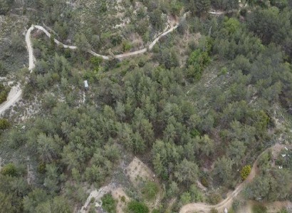 Lemithou, Limassol Agricultural Field For Sale | WW29335