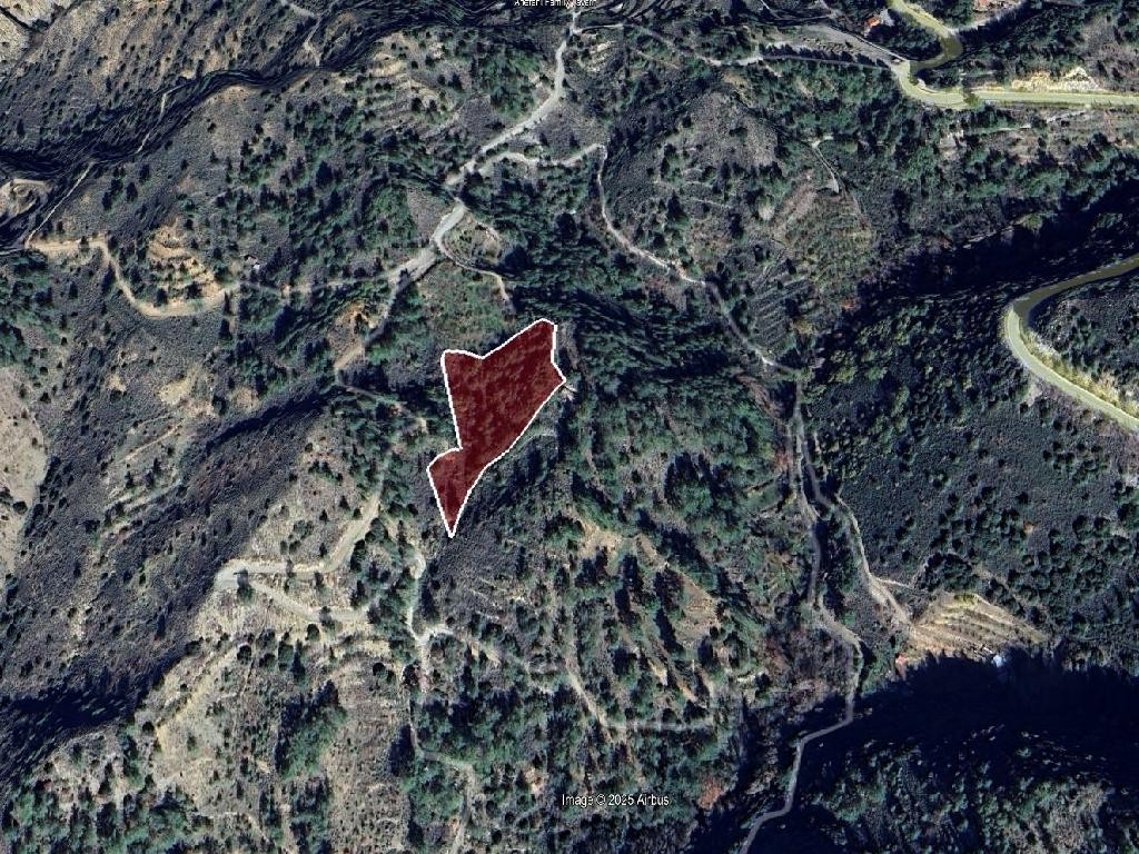 Field - Lemithou, Limassol