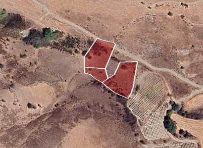 Agios Dimitrianos Agricultural Field For Sale | WW29357