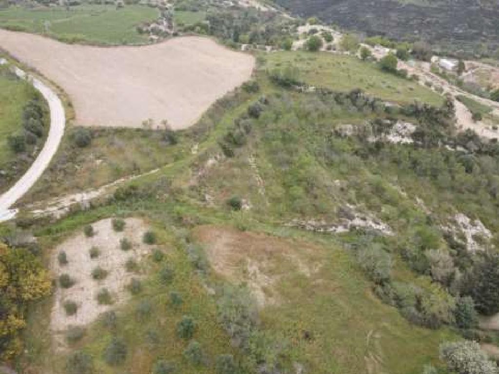 Tsada, Paphos Agricultural Field For Sale | WW29377