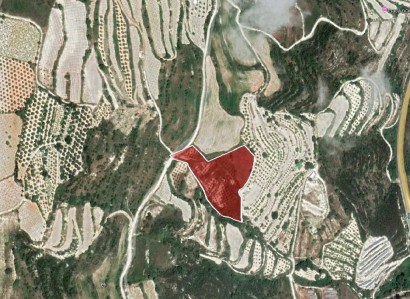 Tsada, Paphos Agricultural Field For Sale | WW29377