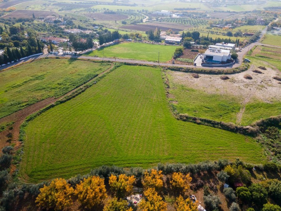 Field - Anarita, Paphos