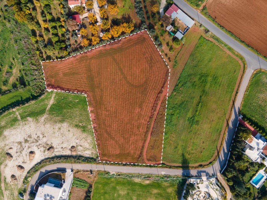 Field - Anarita, Paphos