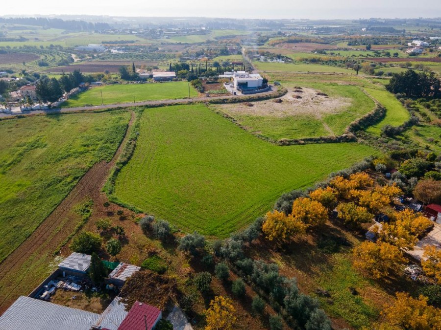 Field - Anarita, Paphos