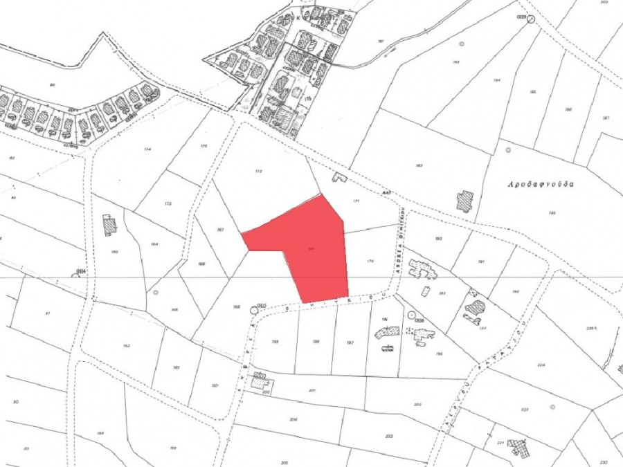 Field - Anarita, Paphos