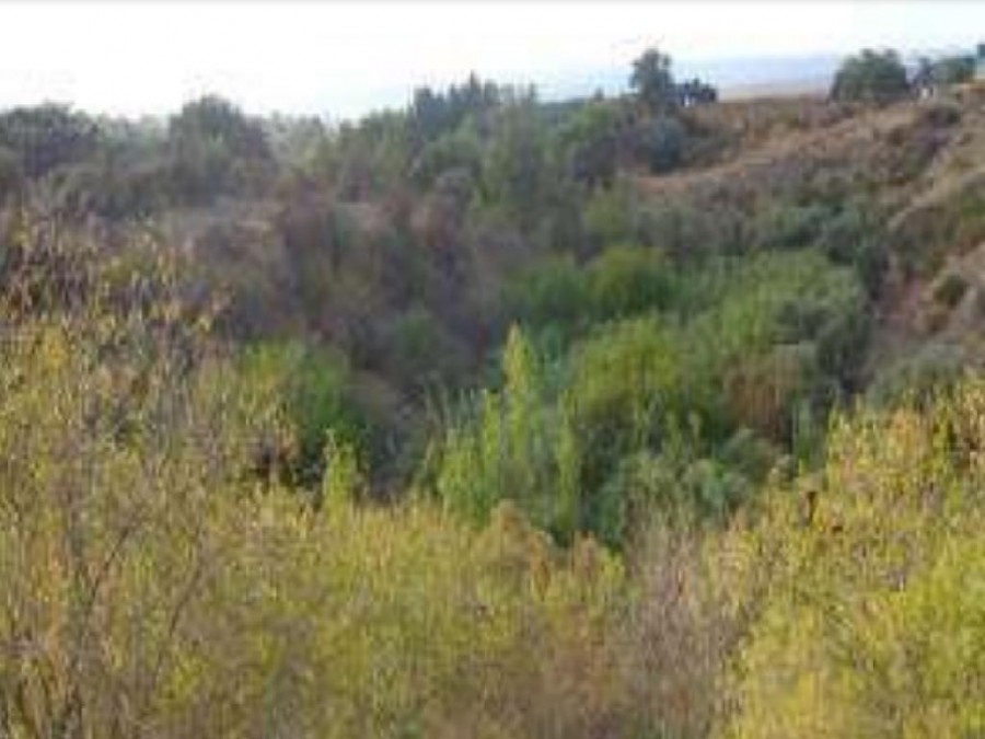Argaka, Paphos Residential Field For Sale | WW26439