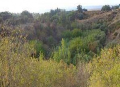 Argaka, Paphos Residential Field For Sale | WW26439