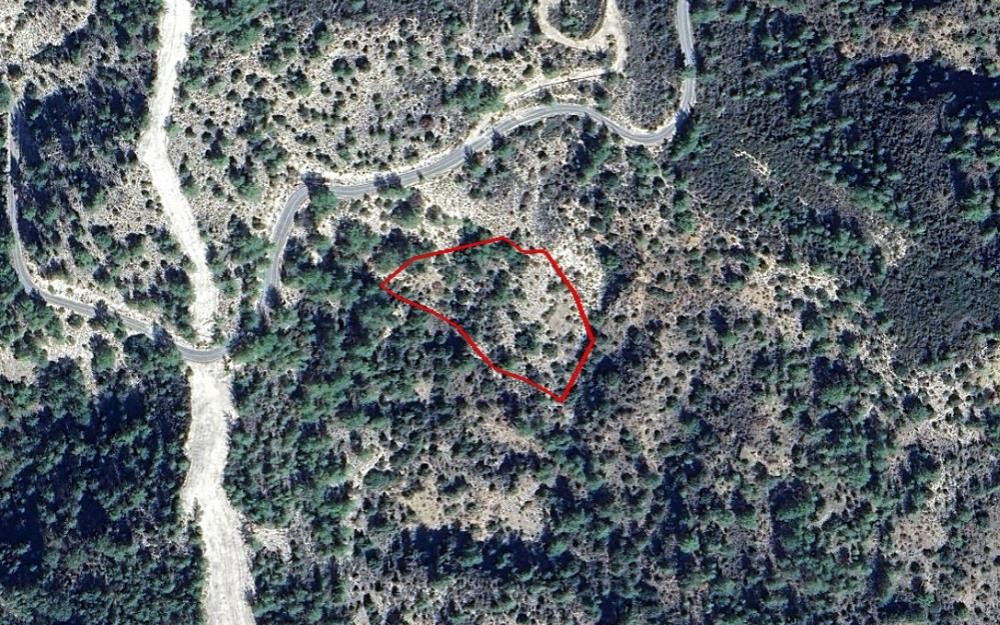 Arminou, Paphos Agricultural Field Sold | WW29395