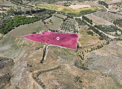 Agia Varvara, Paphos Residential Field For Sale | WW29419