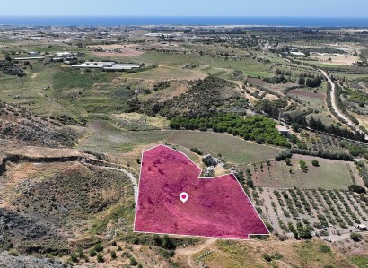 Agia Varvara, Paphos Residential Field For Sale | WW29419