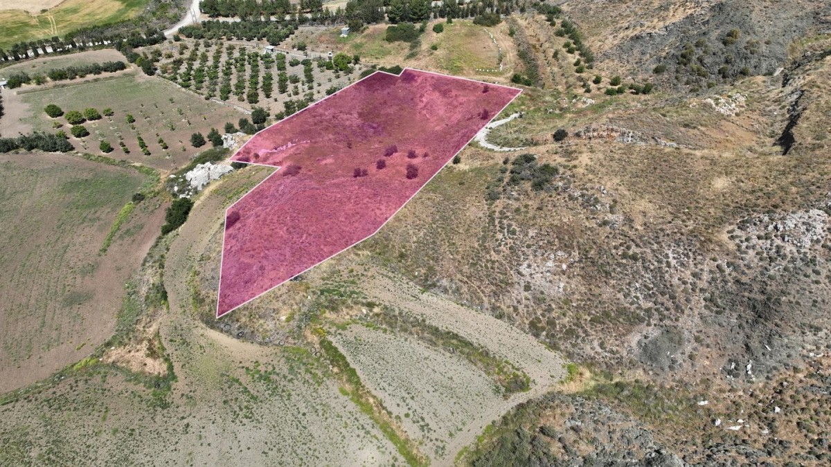 (Share) Residential Field, Agia Varvara, Paphos