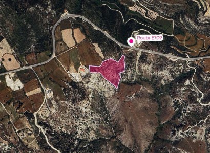 Peyia, Paphos Agricultural Field For Sale | WW29430