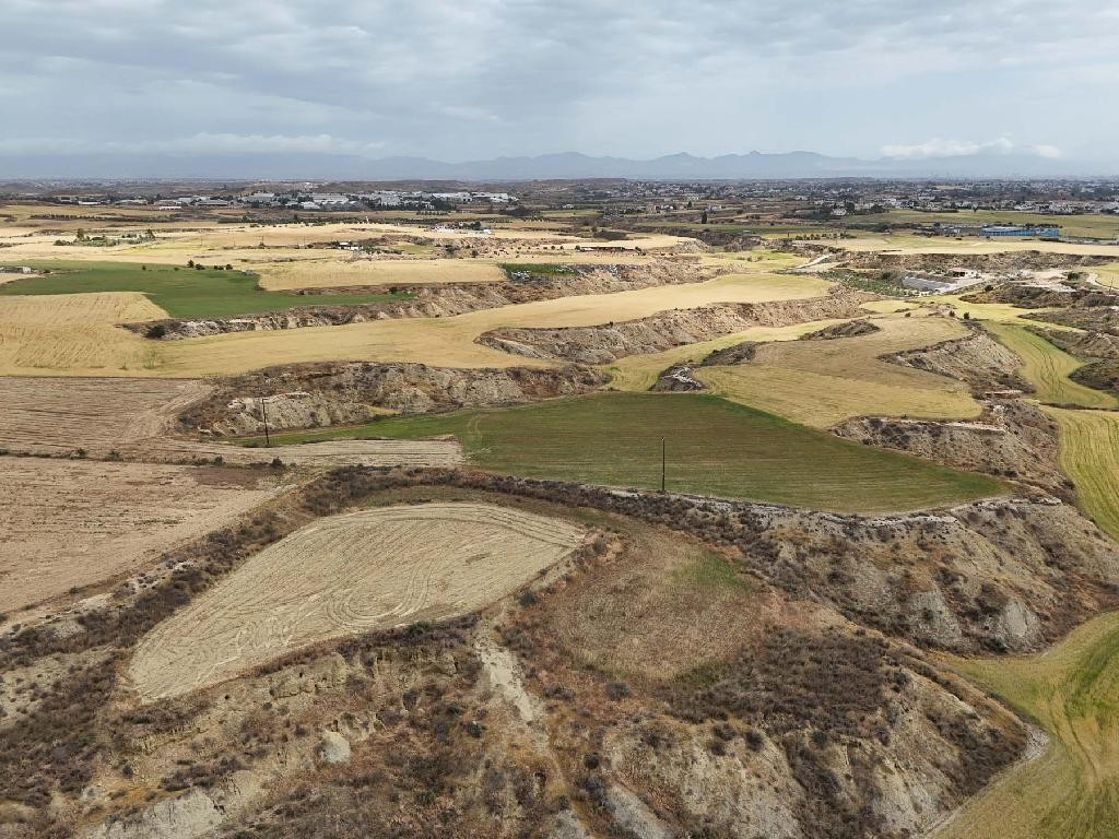 Field - Ergates, Nicosia