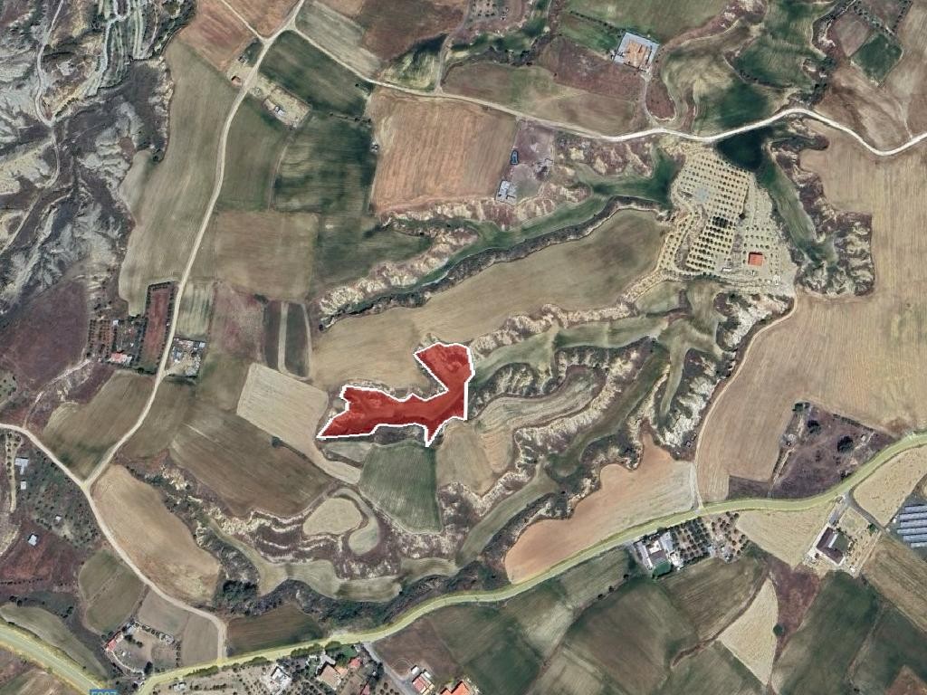 Field - Ergates, Nicosia