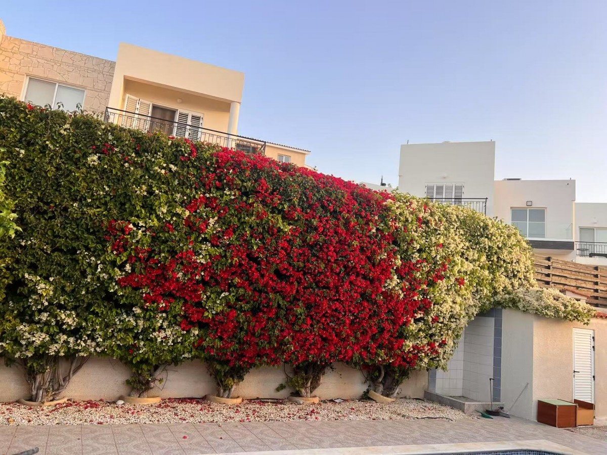 Detached Villa For Sale  in  Select Location