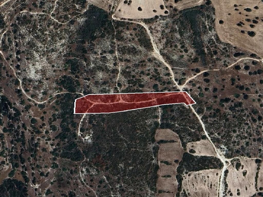 Field - Avdimou, Limassol