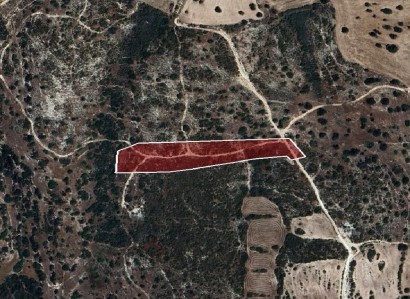 Avdimou, Limassol Agricultural Field For Sale | WW29442