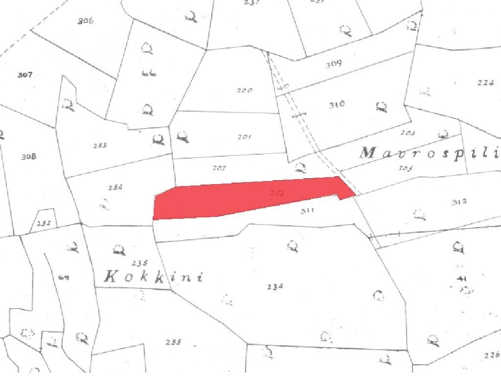 Field - Avdimou, Limassol