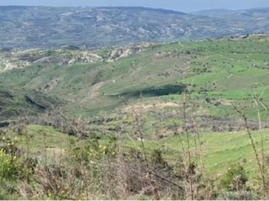 Pentalia, Paphos Agricultural Field For Sale | WW29444