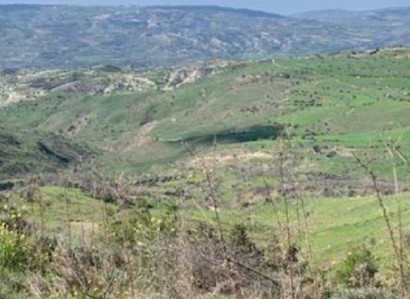 Pentalia, Paphos Agricultural Field For Sale | WW29444