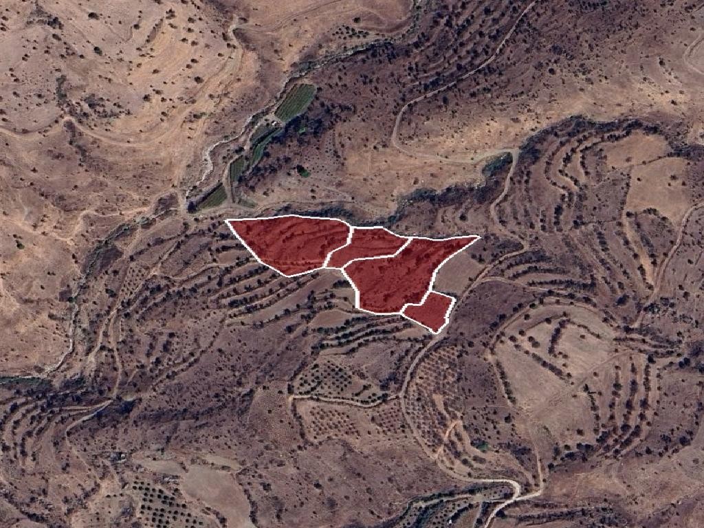 Field - Pentalia, Paphos