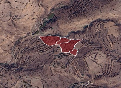 Pentalia, Paphos Agricultural Field For Sale | WW29444