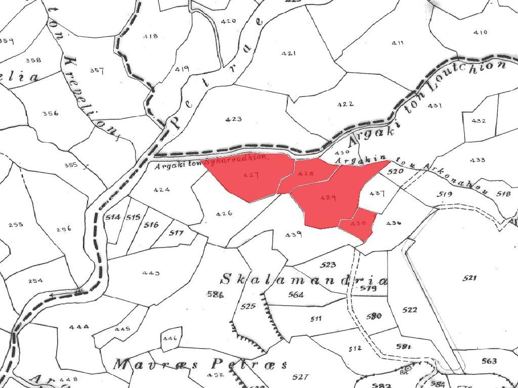 Field - Pentalia, Paphos