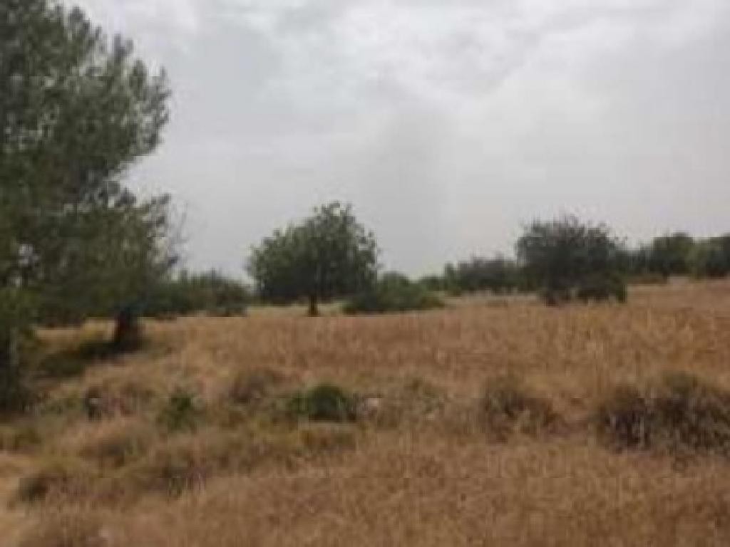 Neo Chorio, Paphos Agricultural Field For Sale | WW29447