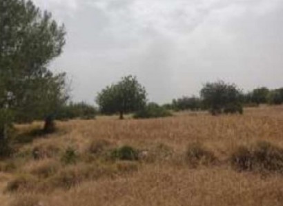 Neo Chorio, Paphos Agricultural Field For Sale | WW29447