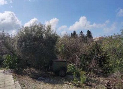 Konia, Paphos Residential Field For Sale | WW29469