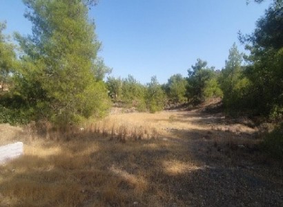 Psevdas, Larnaca Agricultural Field For Sale | WW29480