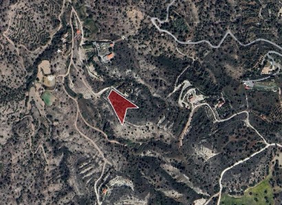 Psevdas, Larnaca Agricultural Field For Sale | WW29480