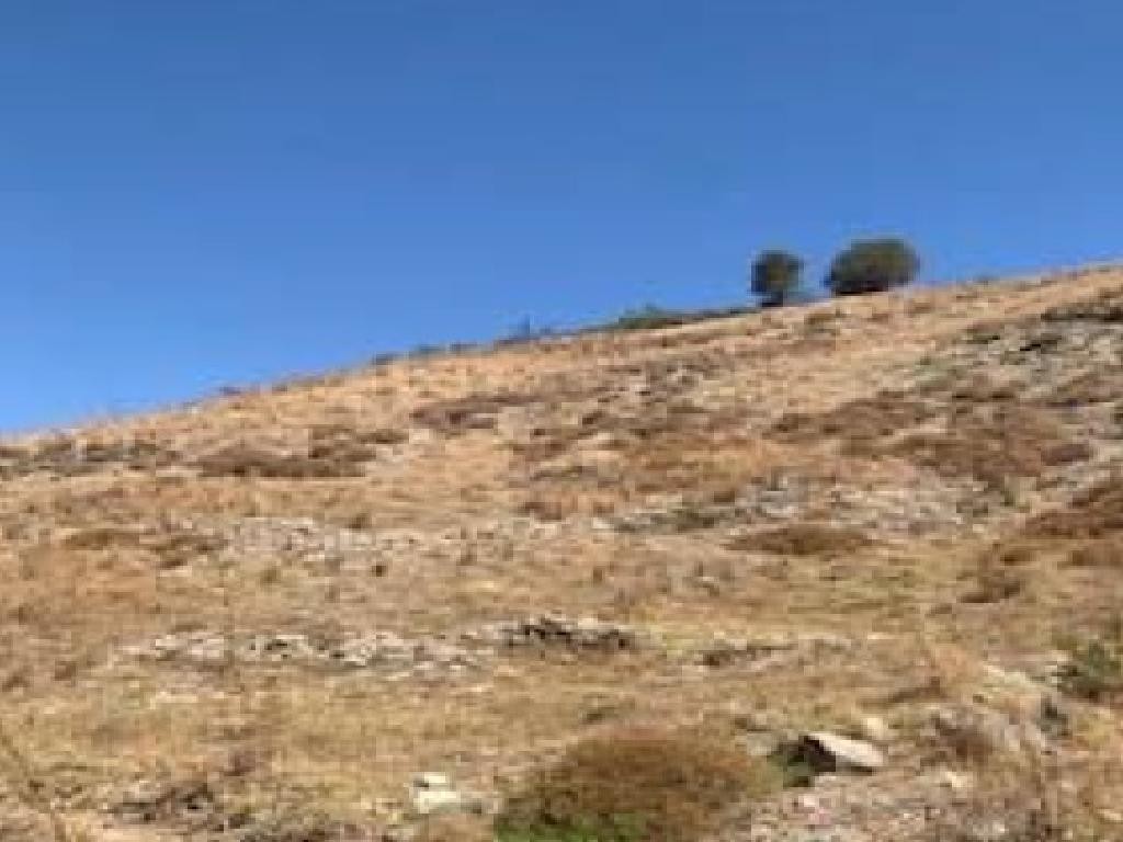 Episkopi, Paphos Agricultural Field For Sale | WW29481