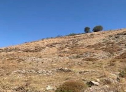 Episkopi, Paphos Agricultural Field For Sale | WW29481