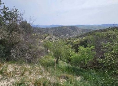 Eledio, Paphos Agricultural Field For Sale | WW29482