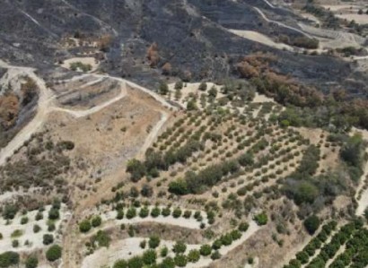 Giolou, Paphos Agricultural Field For Sale | WW29514