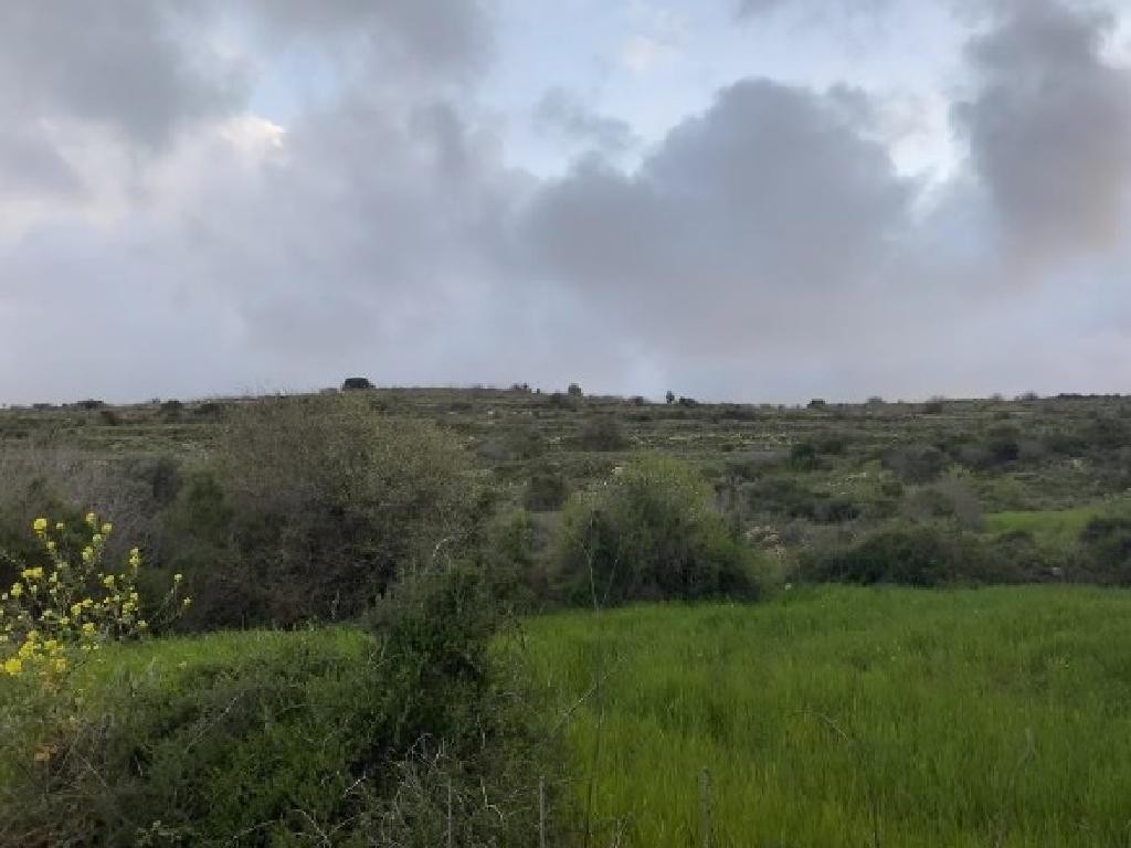 Kritou Tera, Paphos Agricultural Field For Sale | WW29516