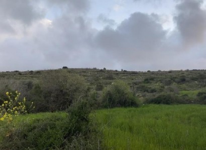 Kritou Tera, Paphos Agricultural Field For Sale | WW29516