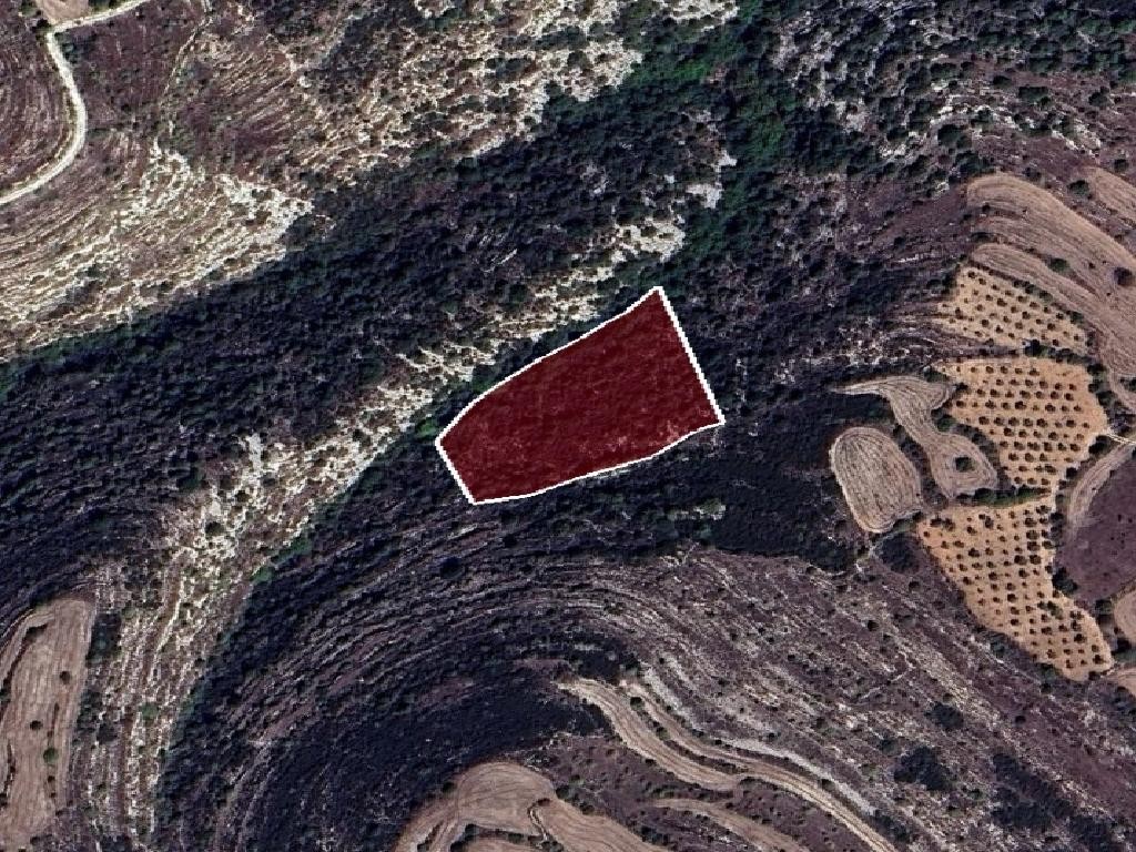 Field - Kritou Tera, Paphos