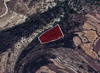 Kritou Tera, Paphos Agricultural Field For Sale | WW29516
