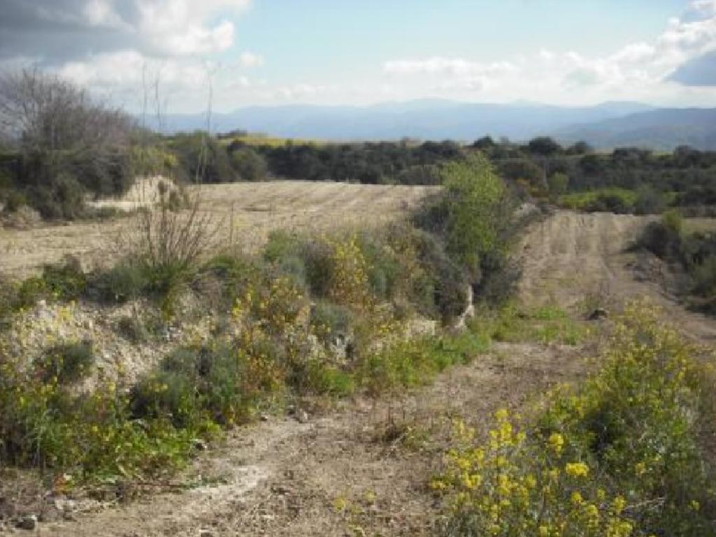 Theletra, Paphos Agricultural Field For Sale | WW29517
