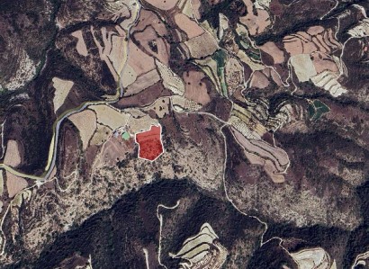 Theletra, Paphos Agricultural Field For Sale | WW29517