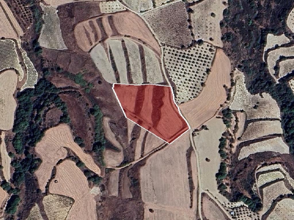 Field - Stroumpi, Paphos
