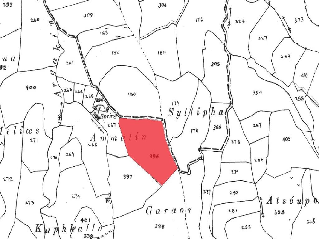 Field - Stroumpi, Paphos