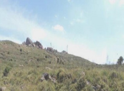 Ineia, Paphos Agricultural Field For Sale | WW29521