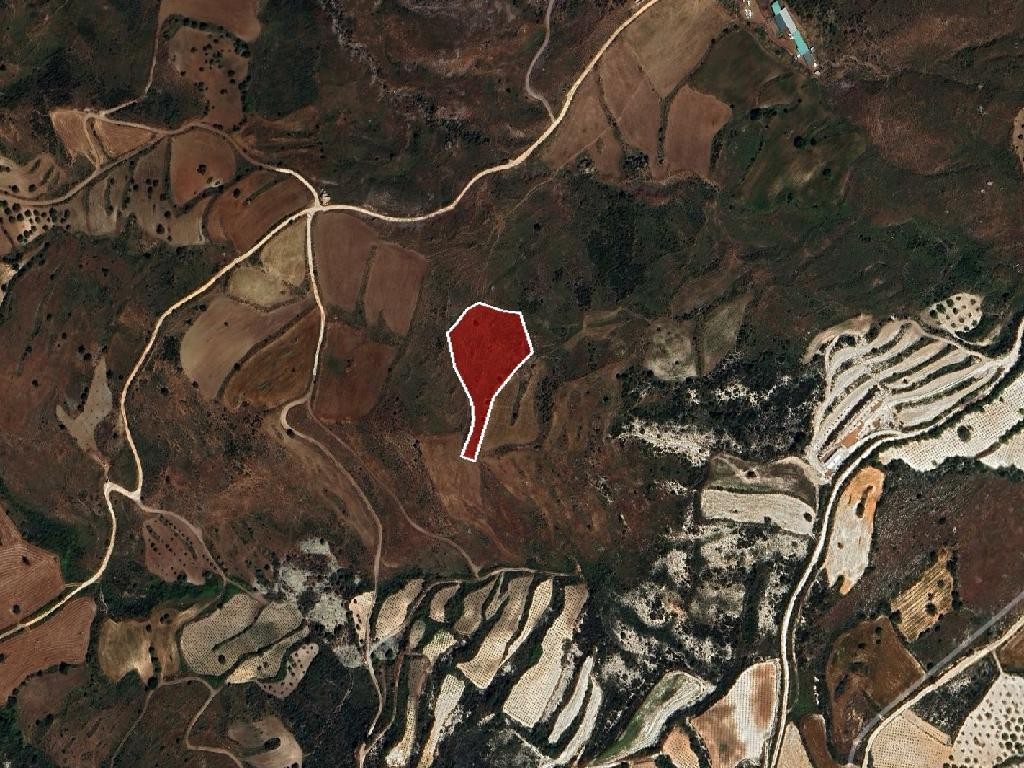 Field - Ineia, Paphos